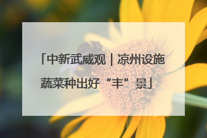 中新武威观｜凉州设施蔬菜种出好“丰”景