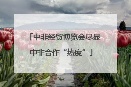 中非经贸博览会尽显中非合作“热度”