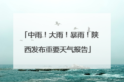 中雨！大雨！暴雨！陕西发布重要天气报告