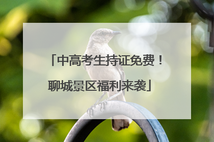 中高考生持证免费！聊城景区福利来袭