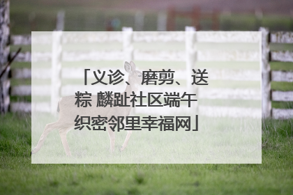 义诊、磨剪、送粽 麟趾社区端午织密邻里幸福网