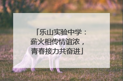 乐山实验中学：薪火相传情谊浓，青春接力共奋进