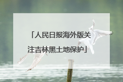 人民日报海外版关注吉林黑土地保护