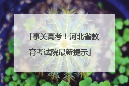 事关高考！河北省教育考试院最新提示