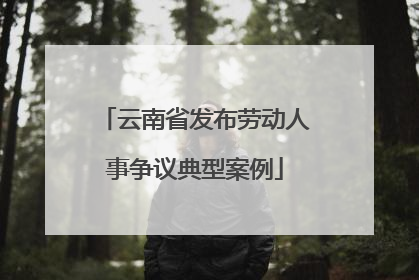 云南省发布劳动人事争议典型案例