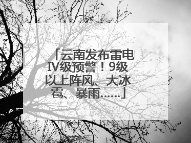 云南发布雷电Ⅳ级预警！9级以上阵风、大冰雹、暴雨……