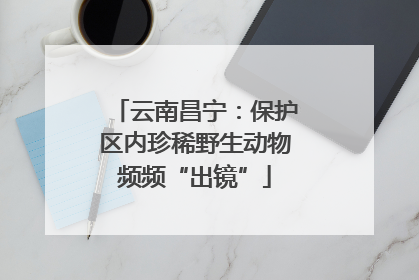云南昌宁：保护区内珍稀野生动物频频“出镜”