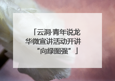 云洞·青年说龙华微宣讲活动开讲“向绿图强”