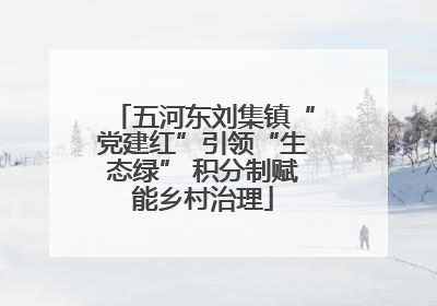 五河东刘集镇“党建红”引领“生态绿” 积分制赋能乡村治理