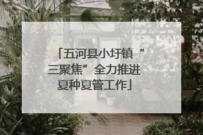 五河县小圩镇“三聚焦”全力推进夏种夏管工作
