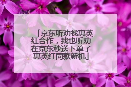 京东听劝找惠英红合作，我也听劝在京东秒送下单了惠英红同款新机