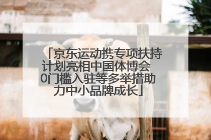 京东运动携专项扶持计划亮相中国体博会 0门槛入驻等多举措助力中小品牌成长