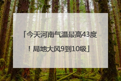 今天河南气温最高43度！局地大风9到10级