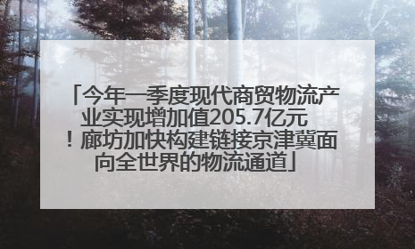 今年一季度现代商贸物流产业实现增加值205.7亿元！廊坊加快构建链接京津冀面向全世界的物流通道