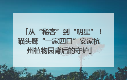 从“稀客”到“明星”！猫头鹰“一家四口”安家杭州植物园背后的守护