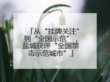 从“挂牌关注”到“全国示范”，盐城获评“全国禁毒示范城市”