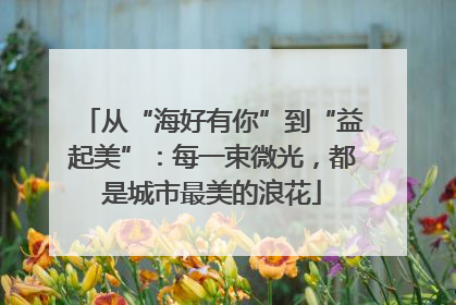 从“海好有你”到“益起美”：每一束微光，都是城市最美的浪花