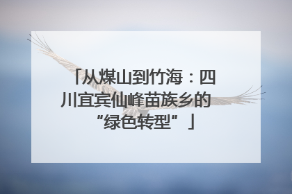 从煤山到竹海：四川宜宾仙峰苗族乡的“绿色转型”