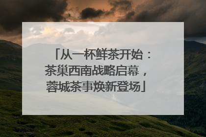 从一杯鲜茶开始：茶巢西南战略启幕，蓉城茶事焕新登场