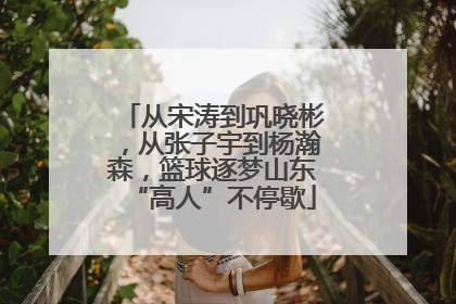 从宋涛到巩晓彬，从张子宇到杨瀚森，篮球逐梦山东“高人”不停歇