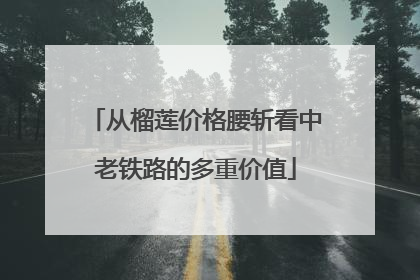从榴莲价格腰斩看中老铁路的多重价值