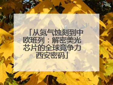从氮气蚀刻到中欧班列：解密美光芯片的全球竞争力西安密码