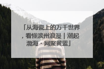 从海瓷上的万千世界，看懂滨州浪漫｜潮起渤海・网聚黄蓝