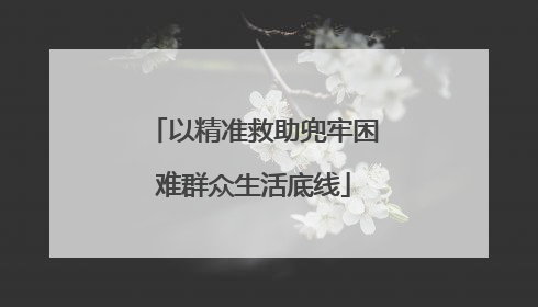 以精准救助兜牢困难群众生活底线