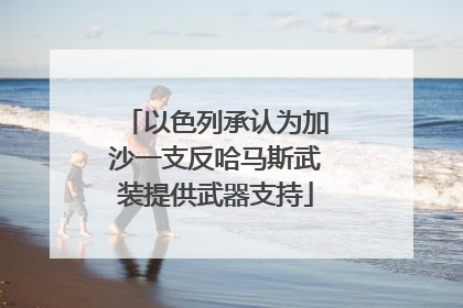 以色列承认为加沙一支反哈马斯武装提供武器支持