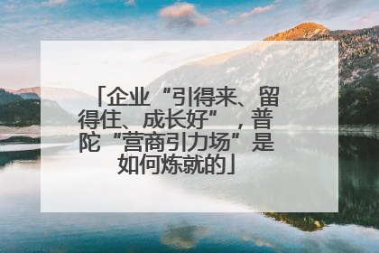 企业“引得来、留得住、成长好”，普陀“营商引力场”是如何炼就的