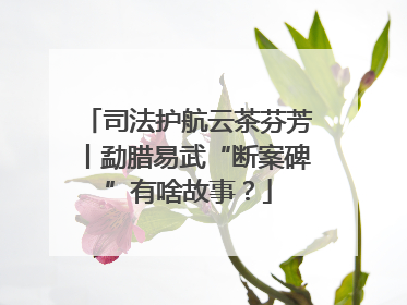 司法护航云茶芬芳丨勐腊易武“断案碑”有啥故事？