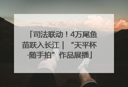 司法联动！4万尾鱼苗跃入长江｜“天平杯·随手拍”作品展播