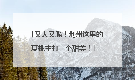 又大又脆！荆州这里的夏桃主打一个甜美！