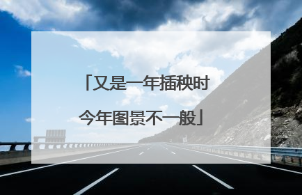又是一年插秧时 今年图景不一般
