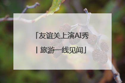 友谊关上演AI秀丨旅游一线见闻