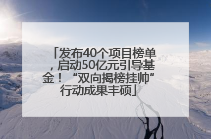 发布40个项目榜单，启动50亿元引导基金！“双向揭榜挂帅”行动成果丰硕