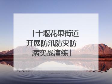 十堰花果街道开展防汛防灾防溺实战演练