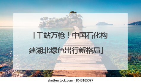 千站万枪！中国石化构建湖北绿色出行新格局