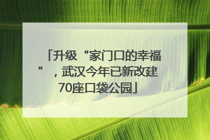 升级“家门口的幸福”，武汉今年已新改建70座口袋公园