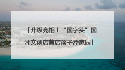升级亮相！“国字头”国潮文创店首店落子潘家园