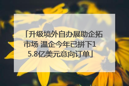 升级境外自办展助企拓市场 温企今年已拼下15.8亿美元意向订单