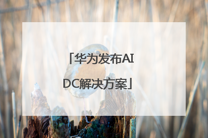 华为发布AI DC解决方案
