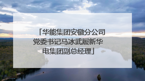华能集团安徽分公司党委书记马冰武履新华电集团副总经理