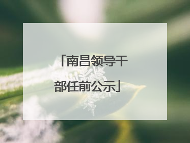 南昌领导干部任前公示