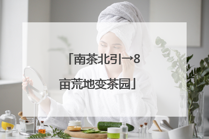 南茶北引→8亩荒地变茶园