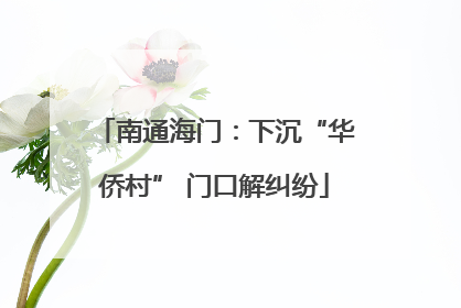 南通海门：下沉“华侨村” 门口解纠纷
