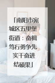 南阳市宛城区五里堡街道：奋楫笃行勇争先 实干奋进结硕果