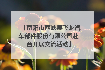 南阳市西峡县飞龙汽车部件股份有限公司赴台开展交流活动