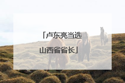 卢东亮当选山西省省长