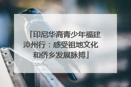 印尼华裔青少年福建漳州行：感受祖地文化和侨乡发展脉搏